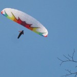 IMG_2195